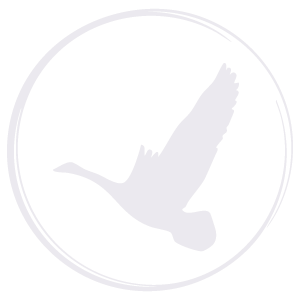 Wild Goose Chase Management logo white no text