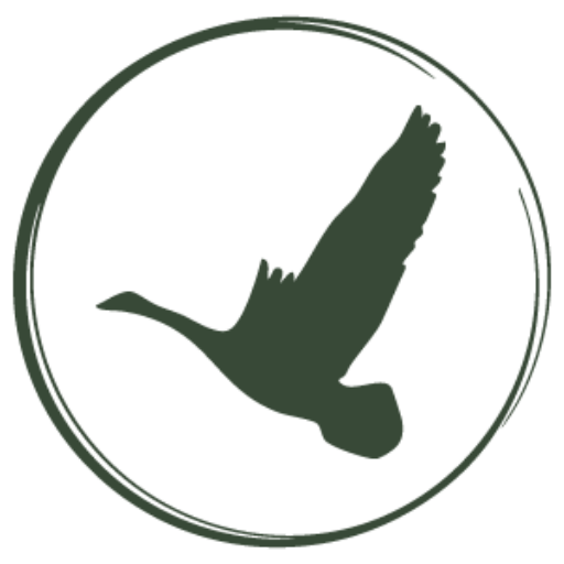 Wild Goose Chase Management Favicon